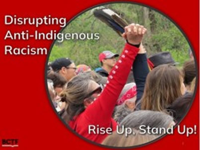 Disrupting Anti-Indigenous Racism cover