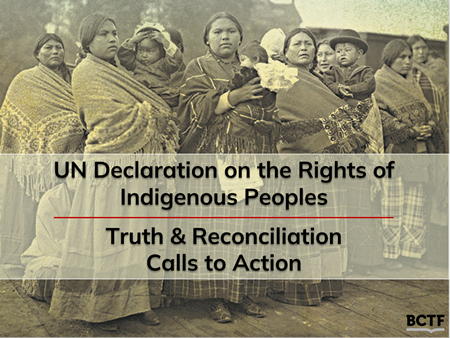 UN Declaration on the Rights of Indigenous Peoples cover