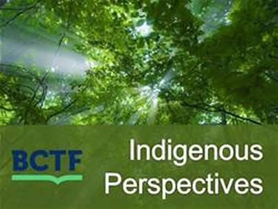 Indigenous Perspectives cover