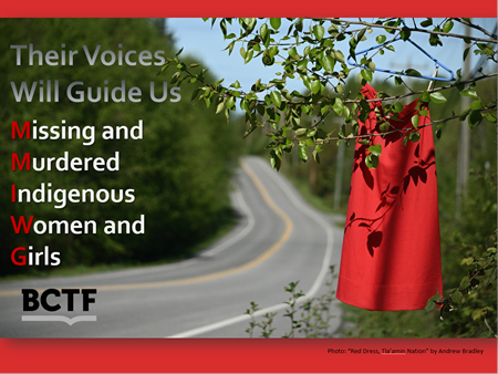 Their Voices Will Guide Us cover